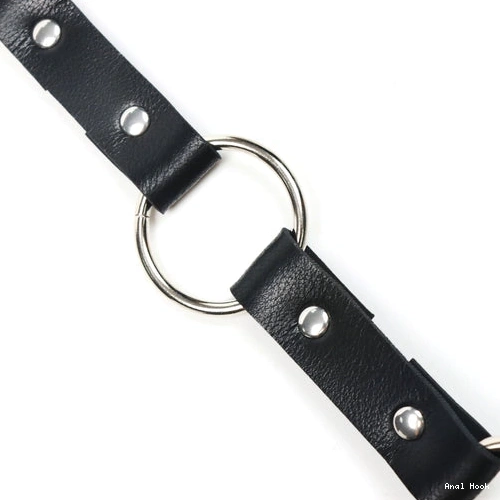 Kinky Hook and Collar with Leash Anal EverydayUse 5853 0402